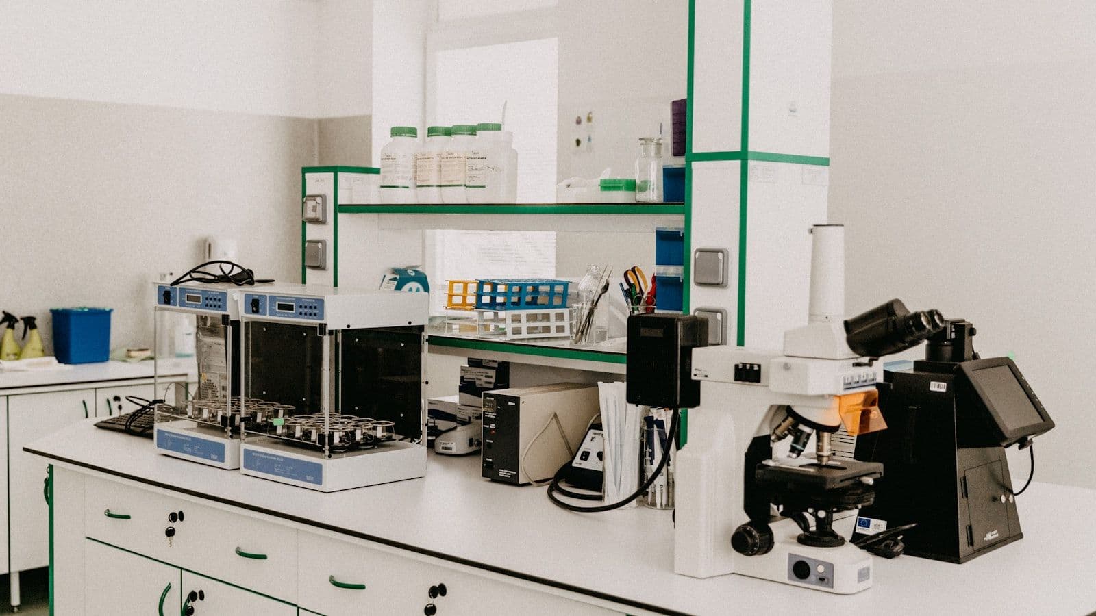 Healthcare & Life Sciences